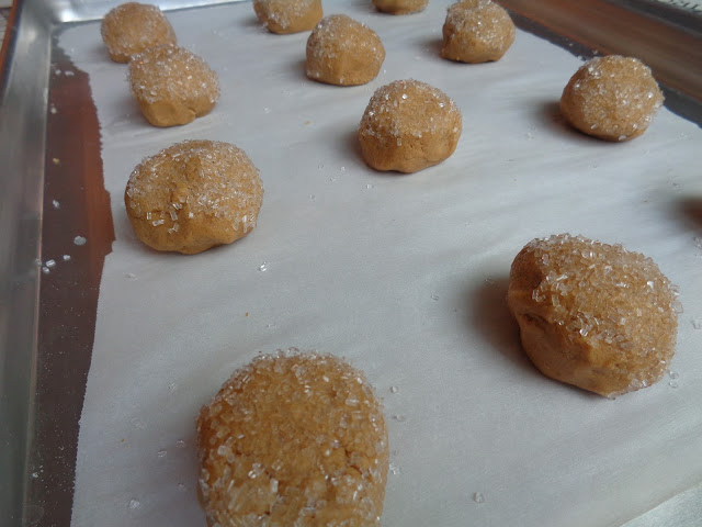 Dough balls of spiced molasses cookie dough are top with sparkling sugar and ready for the oven. The dough balls are evenly spaced on the parchment covered baking sheet.