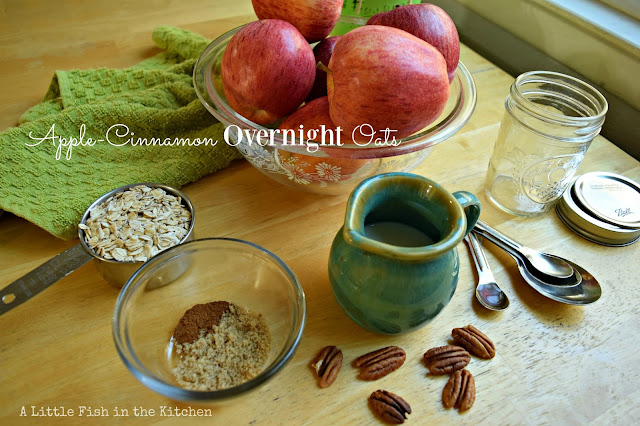 The ingredients for a single serving of hearty apple cinnamon overnight oats are portioned out: cinnamon, brown sugar, low fat milk, old-fashioned oats, pecans, vanilla extract, fresh apples