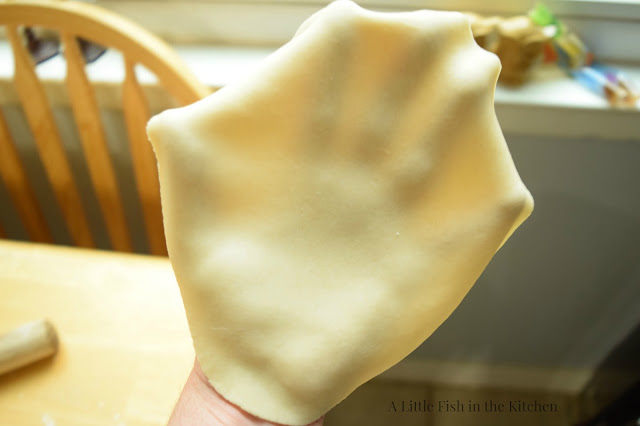 A raw tortilla is draped over a hand by a window to illustrate the proper thickness for a fresh formed tortilla.