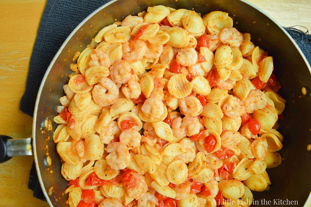 Orecchiette with Cherry Tomatoes and Shrimp
