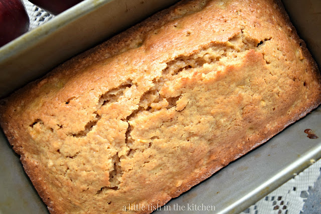 A single loaf of fresh bake apple spice quick bread is cooling in a silver metal loaf pan. The cooking rack is resting over a lace doilie. The top of the tender apple bread looks tender and fluffy. Bits of cooked apple and speckles of warm spice are visible in the crackled top of this quick bread. 
