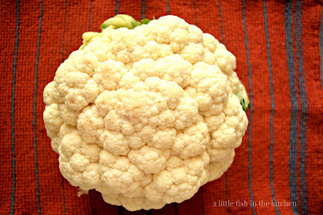 A beautiful head a fresh white cauliflower rests on an orange tea towel with blue stripes creating a striking color contrast. 