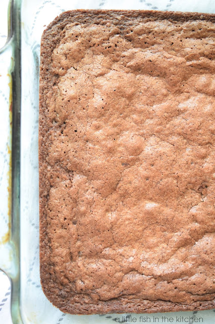 The perfectly crackled top of a batch of Cocoa powder brownies before the frosting is swirled on top.