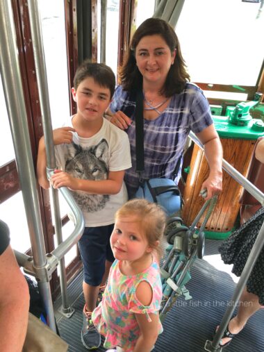My kids and I riding a NOLA trolley from our hotel to the Audubon Butterfly museum. 