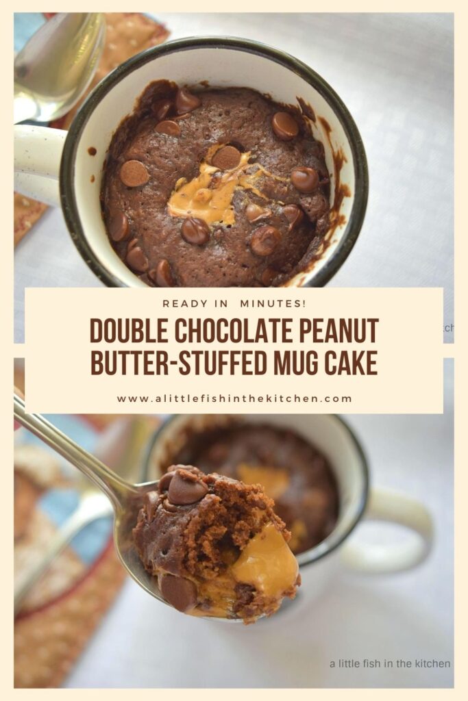 Double Chocolate Peanut Butter-Stuffed Mug Cake – A Little Fish in the ...