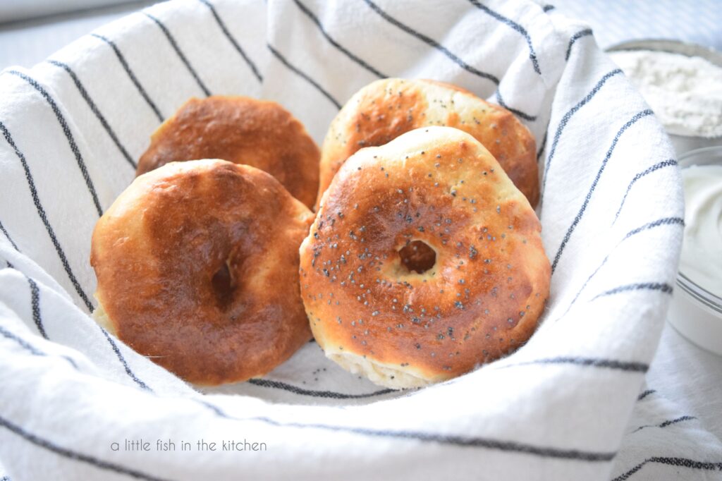 Fresh two-ingredient bagels with poppy seeds on top. 