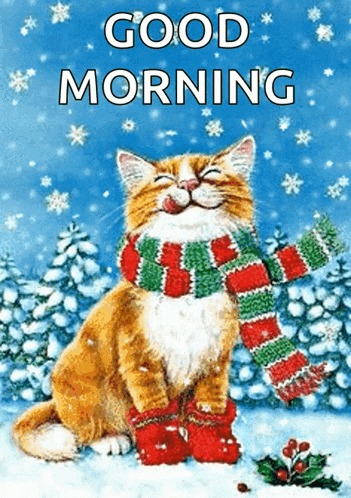 Good morning! ☃️❄️🌞☕