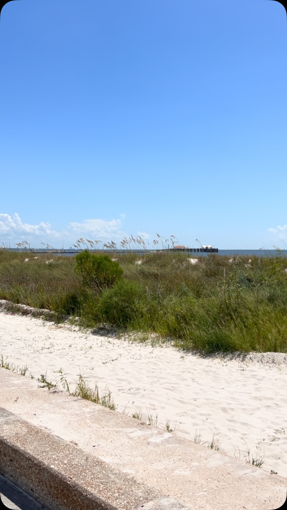 Good morning from lovely Long Beach, Mississippi! 🏝️🌊🦀🐬