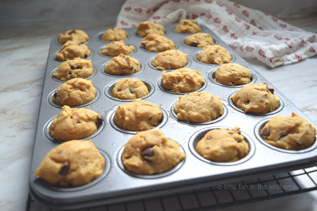 Mini muffins in a muffin pan, fresh out of the oven and on a cooling rack. The muffins have a cool orange hue and are speckled with chocolate chips. 