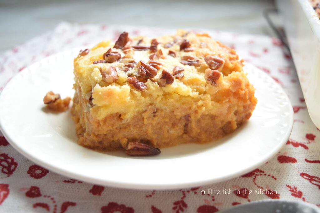 A square slice of cake sits on top of a white dessert plate and the picture is take from the side. . The top of the cake is golden and several pieces of chopped pecans are seen on top.  The pumpkin filling is shown in this shot. It is orange in color and looks creamy. The white baking dish with the whole cake sits next to the plate and a white towel with a red floral pattern is in the background.