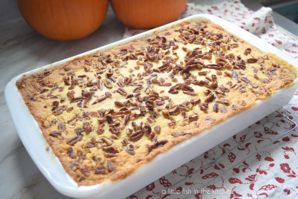 A whole Pumpkin Upside Down Cake is in a white baking dish and several chopped pecans are scattered on the top. The cake is golden in colorThe baking dish is sitting on a silver cooking rack. A white tea towl with a red floral print and two small orange pumpkins are in the background. 