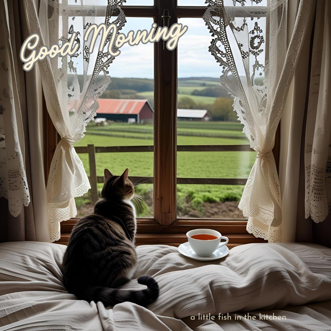 Good morning, happy weekend! ✨☕