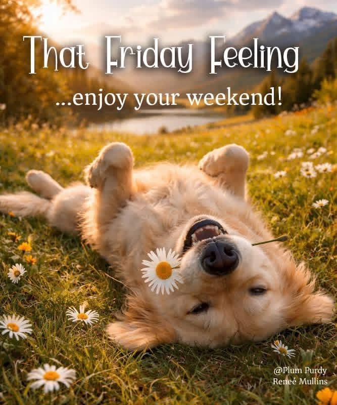Good morning! Happy Friday, friends! 🌞✨☕🌼#GoodMorningEveryone #enjoytheweekend