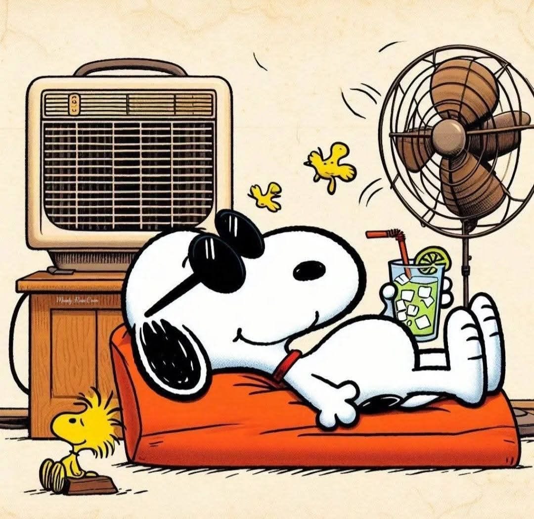 Good morning and happy Friday! Stay cool, friends! 😎🌞🥤 #happyfridayeveryone #goodmorning