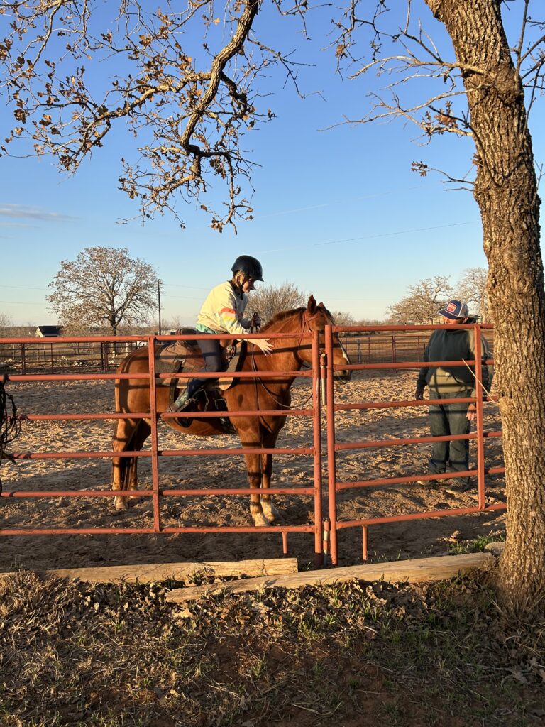 A young girl is on a brown horse inside a training corral.